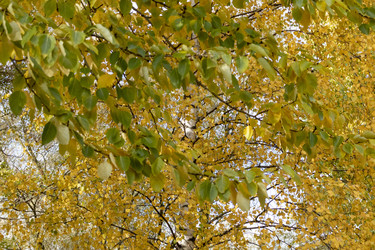 Similar image 22334051