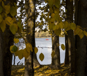 Similar image 22334053