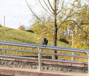 Similar image 22334055