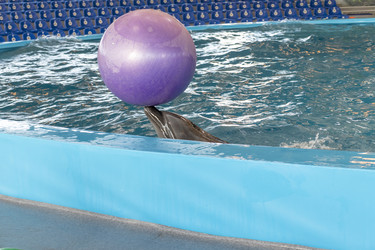 Similar image 22334056