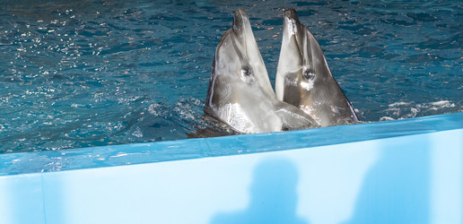 Similar image 22334057