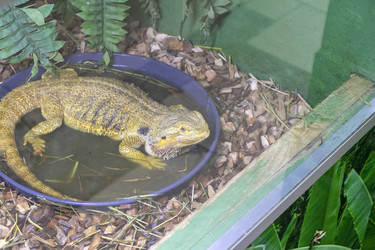 Similar image 22334059