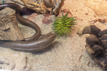 Similar image 22334060