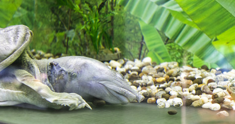 Similar image 22334061