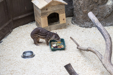 Similar image 22334063