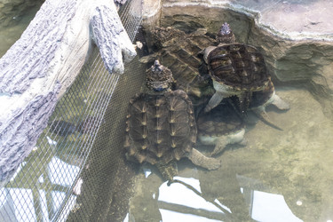 Similar image 22334067