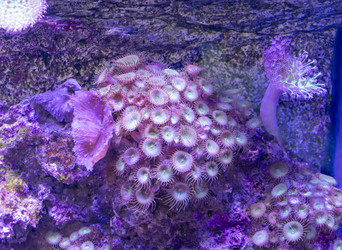 Similar image 22334068