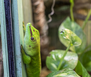 Similar image 22334069