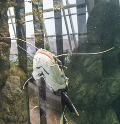 Similar image 22334070