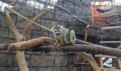 Similar image 22334071