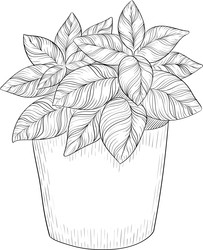 Similar image 22333686