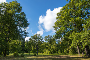 Similar image 22340482