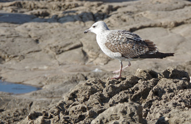 Similar image 22339167