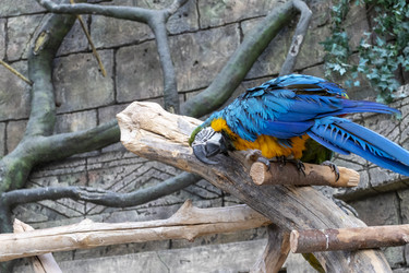 Similar image 22334073