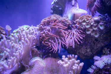 Similar image 22334074