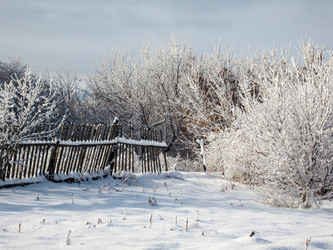 Similar image 22333235