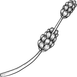 Similar image 22333710