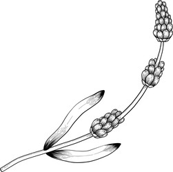 Similar image 22333711