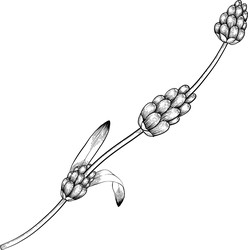 Similar image 22333712