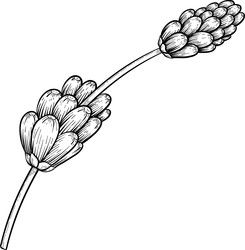 Similar image 22333724