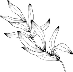 Similar image 22333725