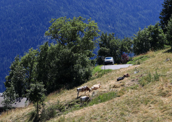 Similar image 22337200