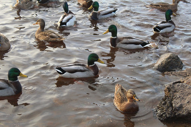 Similar image 22347476