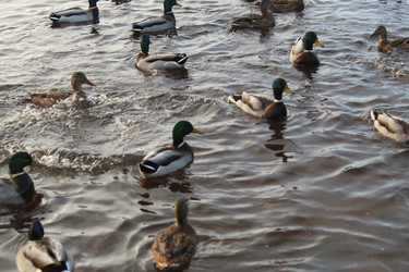 Similar image 22347505