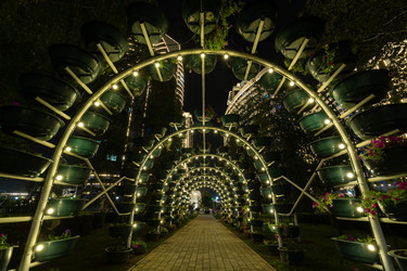 Similar image 22339630