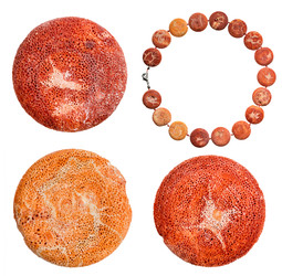 Similar image 22333863