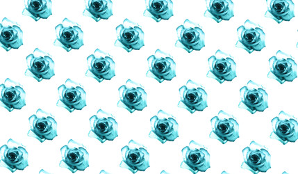 Similar image 22338261