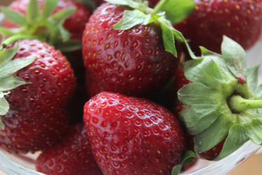 Similar image 22335499