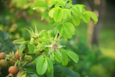 Similar image 22333885