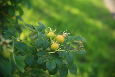 Similar image 22333886