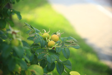 Similar image 22333887