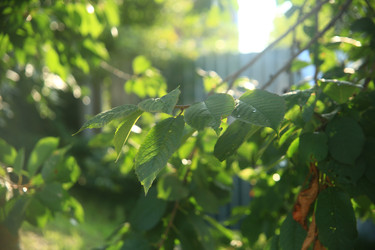 Similar image 22335507