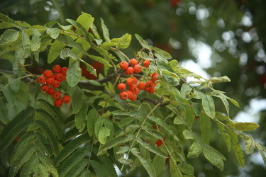 Similar image 22333888