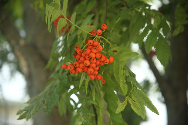 Similar image 22333889