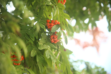 Similar image 22333890