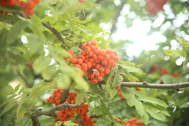 Similar image 22333891