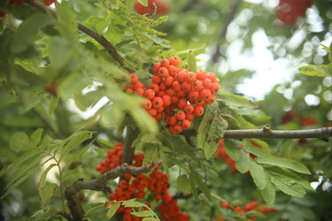 Similar image 22333892