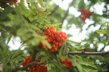 Similar image 22333893