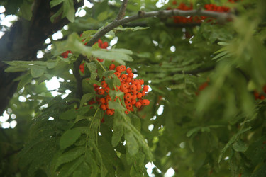 Similar image 22333896