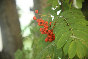 Similar image 22333897