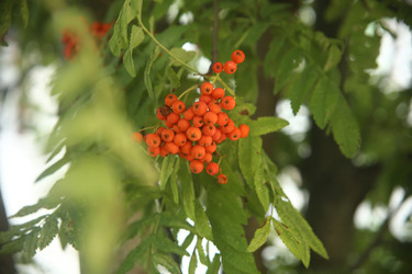 Similar image 22333898