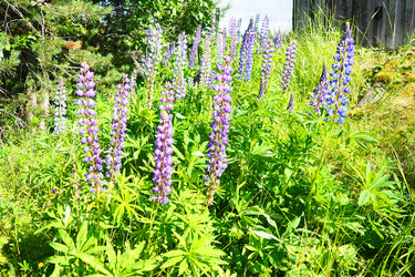 Similar image 22336092