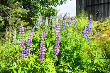 Similar image 22336093