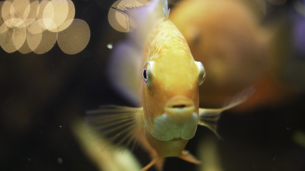 Similar image 22335986