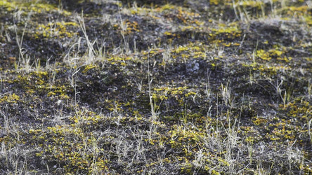 Similar image 22335992