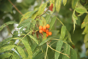 Similar image 22333899